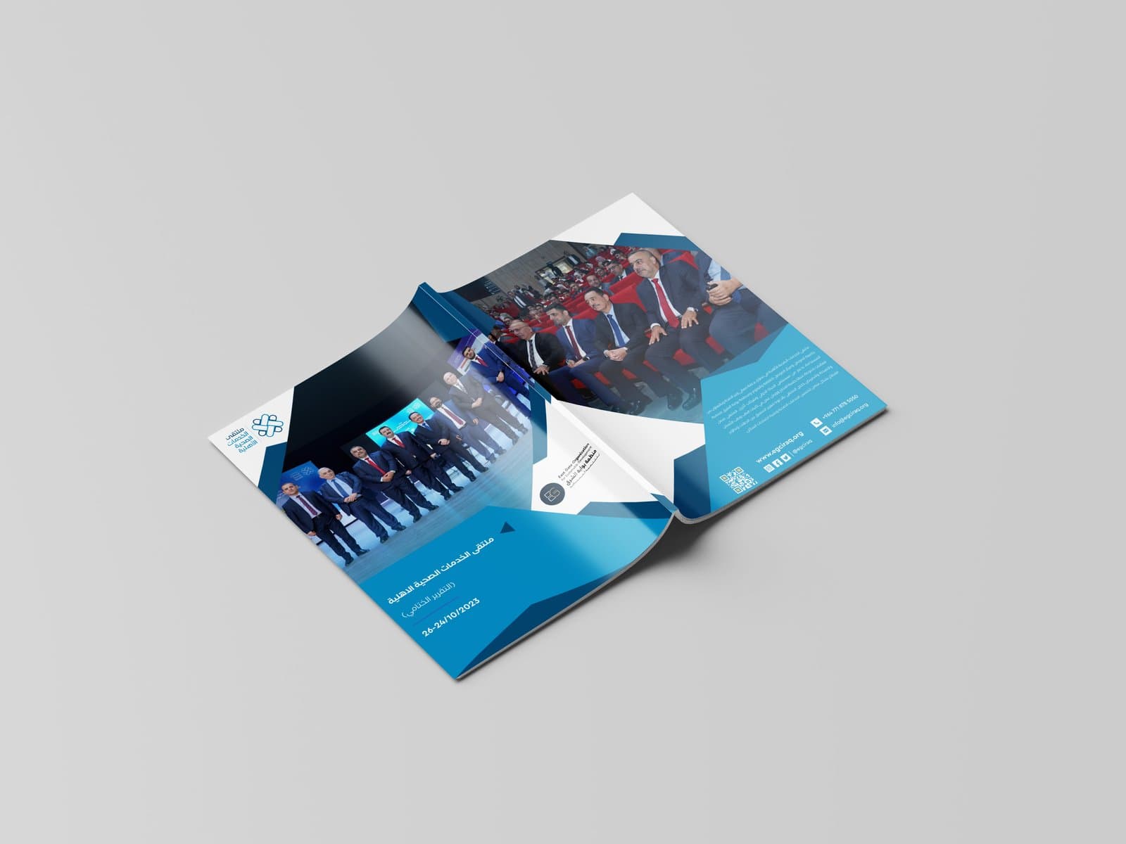 Final Report: Private Health Services Forum